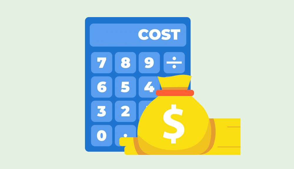 Cost estimate Cost estimate